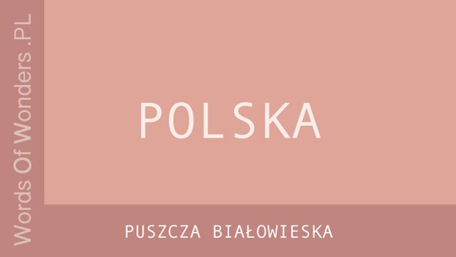 wow Puszcza Białowieska